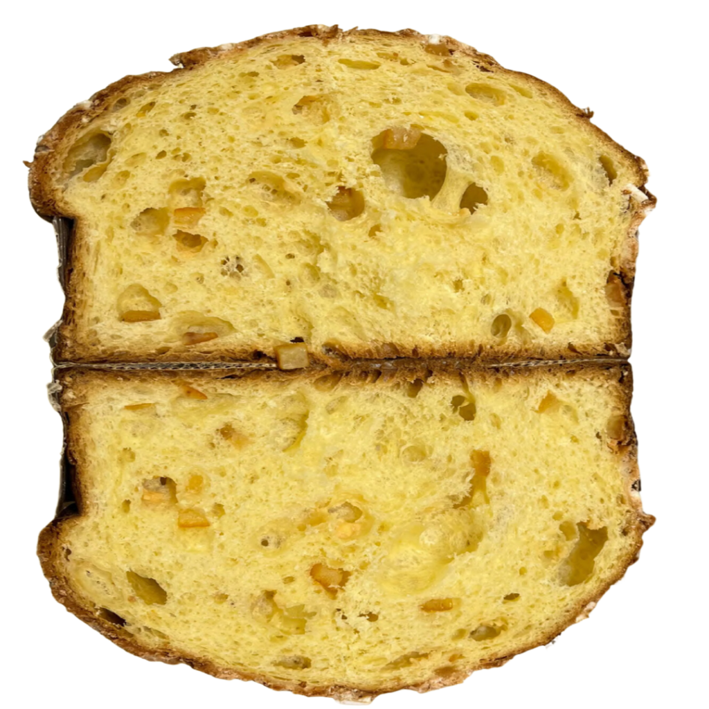 panettone artiginale 2024 - tradizione torinese